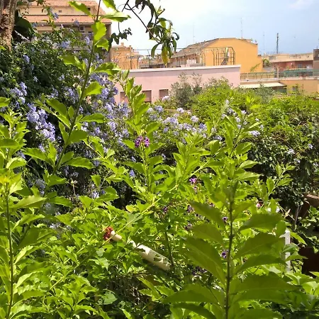 Apartment Terrazzo Tra Trastevere E Monteverde *