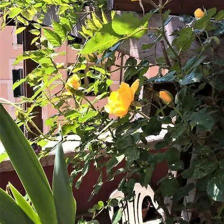 Apartment Terrazzo Tra Trastevere E Monteverde