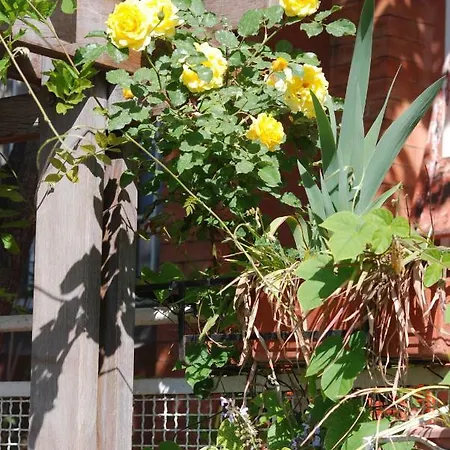 아파트 Terrazzo Tra Trastevere E Monteverde