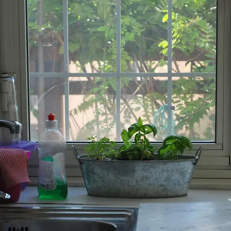 아파트 Terrazzo Tra Trastevere E Monteverde 로마