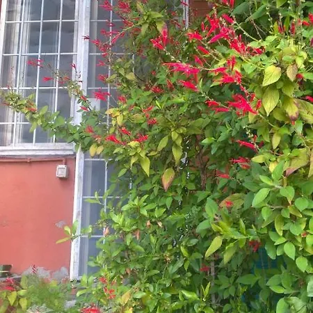 Terrazzo Tra Trastevere E Monteverde 아파트